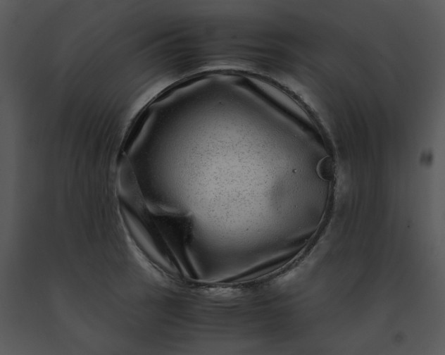 X0000091451137200708301804