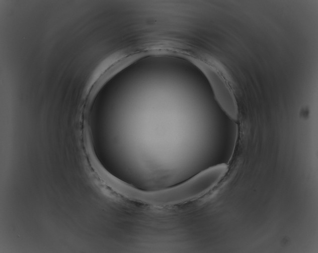X0000091451138200708301804