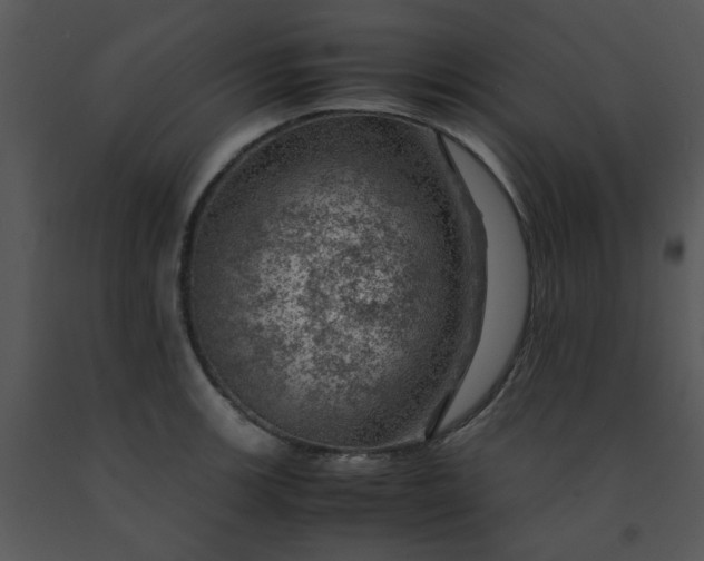X0000091451139200708301804