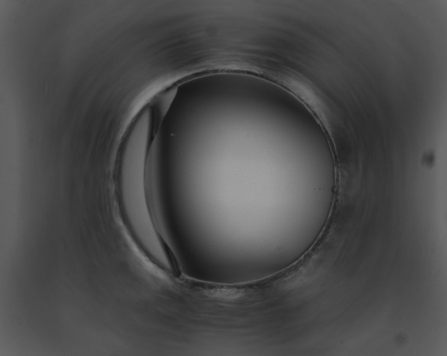 X0000091451141200708301804