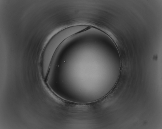 X0000091451142200708301804