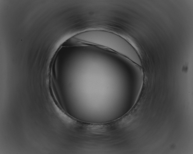 X0000091451143200708301804