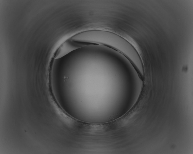 X0000091451144200708301804