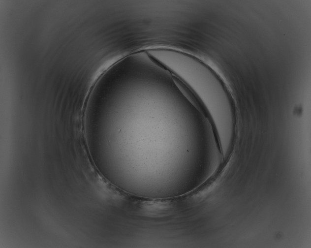 X0000091451145200708301804