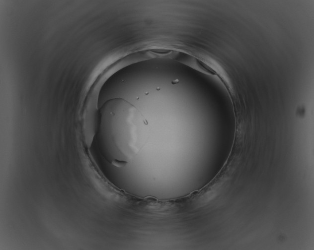 X0000091451146200708301804