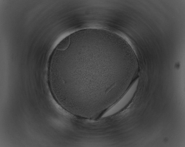 X0000091451147200708301804