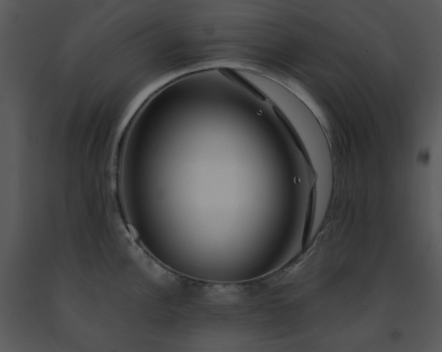X0000091451148200708301805