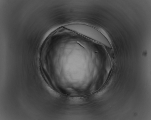 X0000091451149200708301805