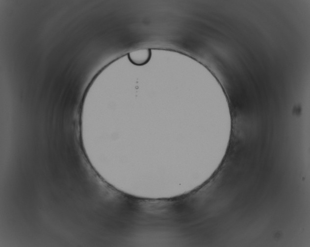 X0000091451150200708301805