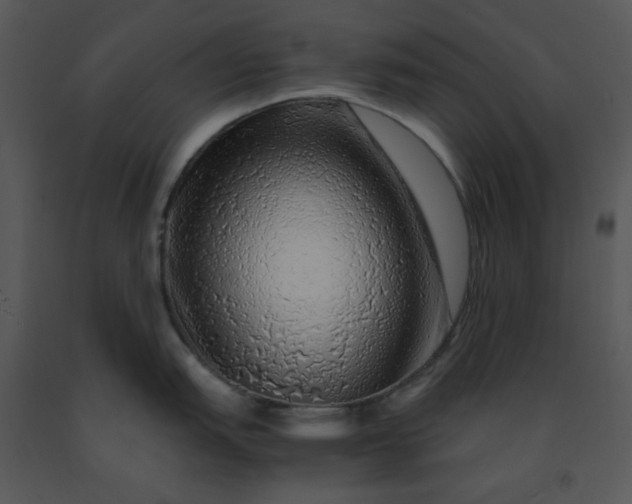 X0000091451151200708301805