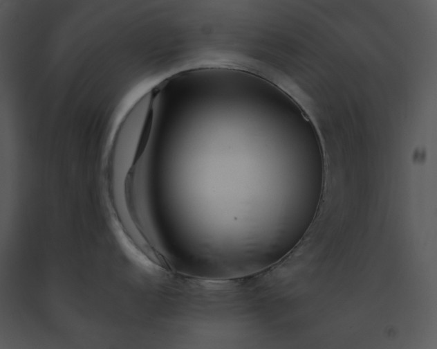X0000091451152200708301805