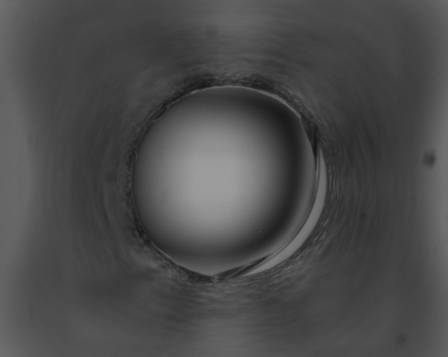 X0000091451153200708301804