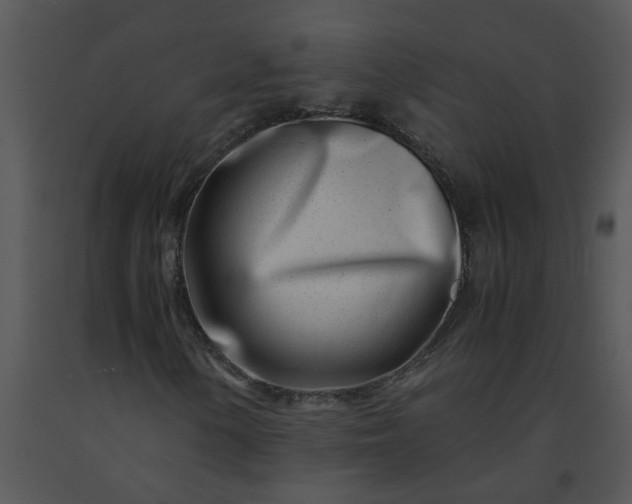 X0000091451154200708301804
