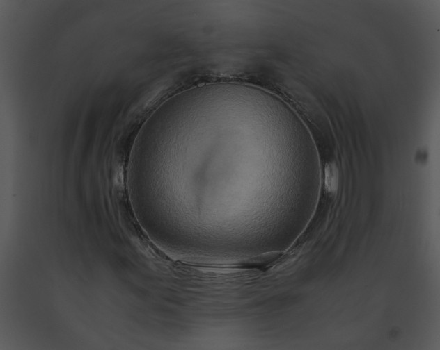 X0000091451155200708301804