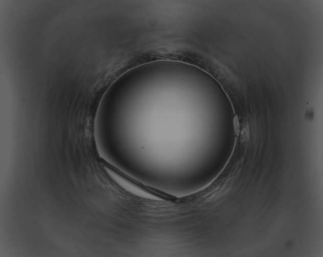 X0000091451156200708301804