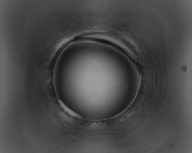X0000091451160200708301804