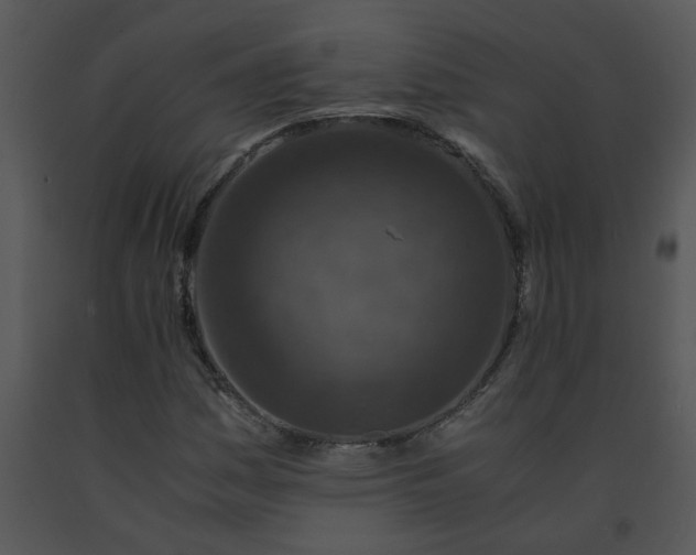 X0000091451161200708301804