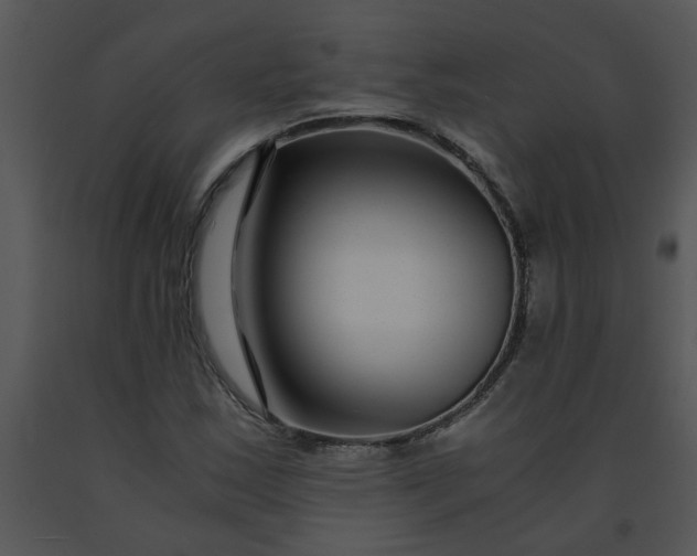 X0000091451163200708301804