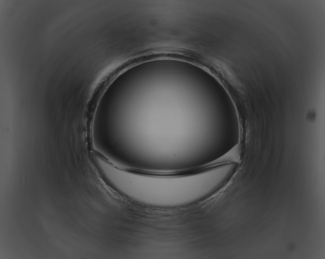 X0000091451164200708301804