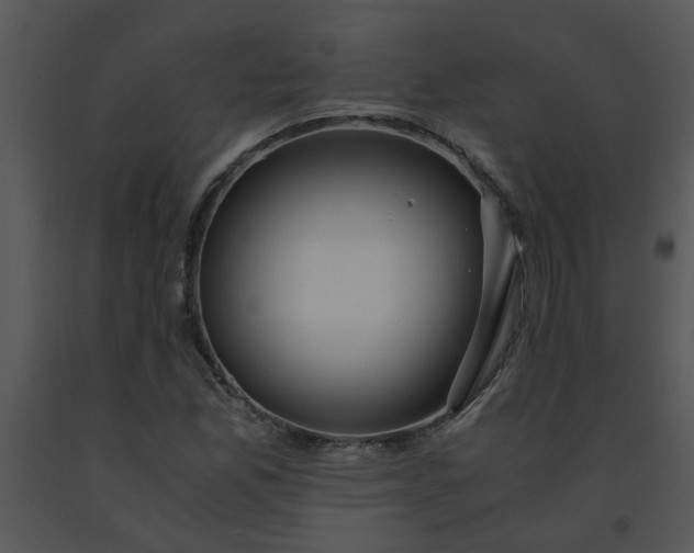 X0000091451165200708301804