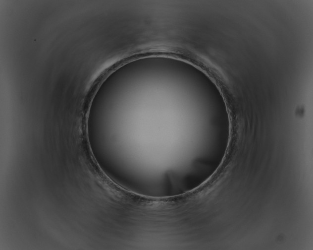 X0000091451166200708301804
