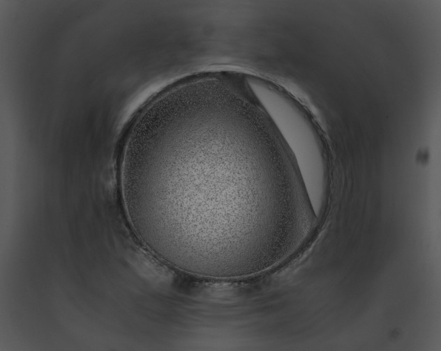 X0000091451167200708301804