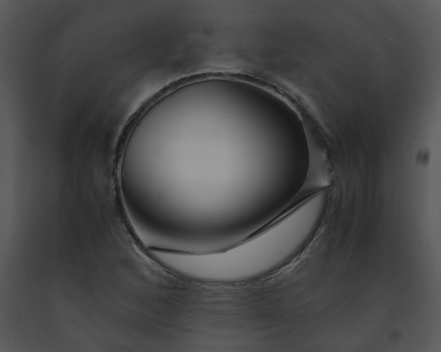 X0000091451168200708301804