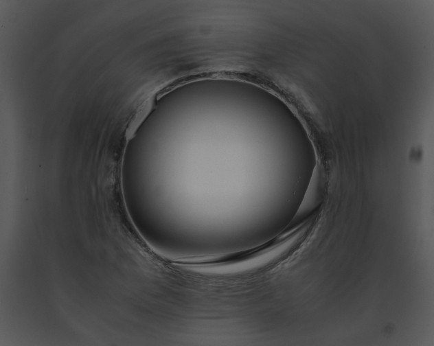 X0000091451169200708301804