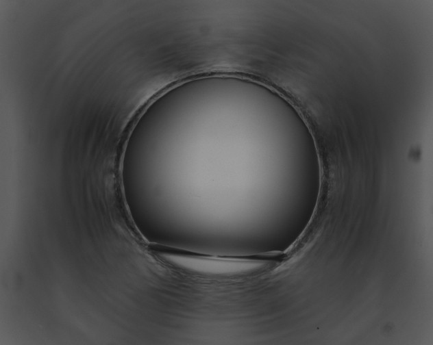 X0000091451170200708301804