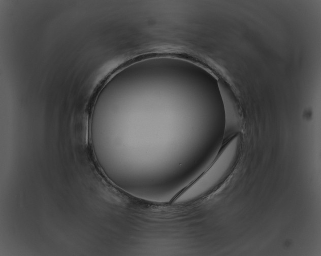 X0000091451171200708301804