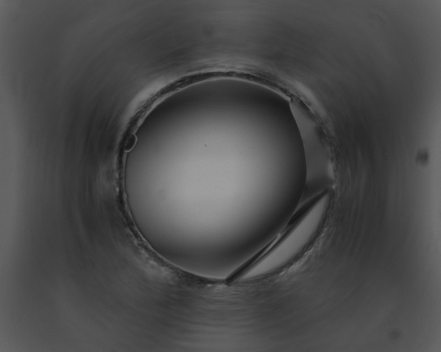 X0000091451172200708301804