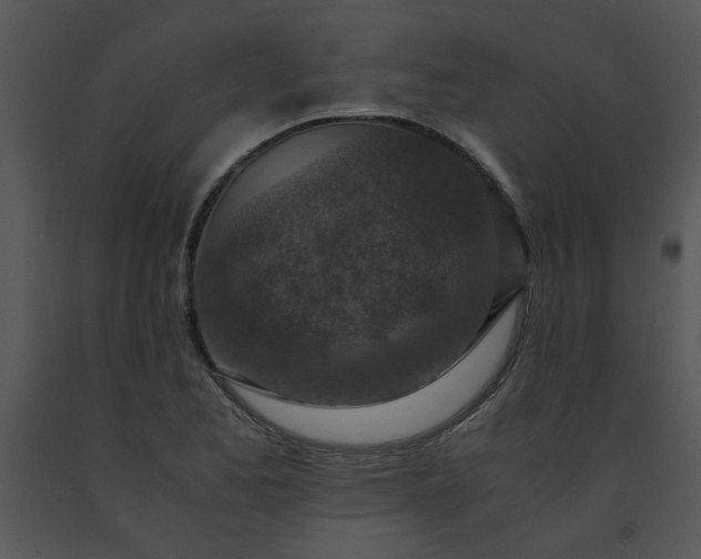 X0000091451173200708301804