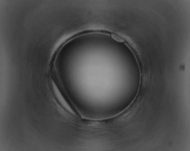 X0000091451175200708301804