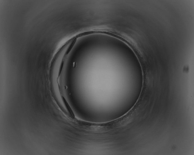 X0000091451176200708301804