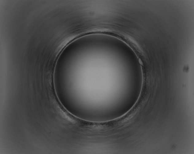 X0000091451177200708301804