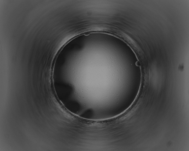 X0000091451178200708301804
