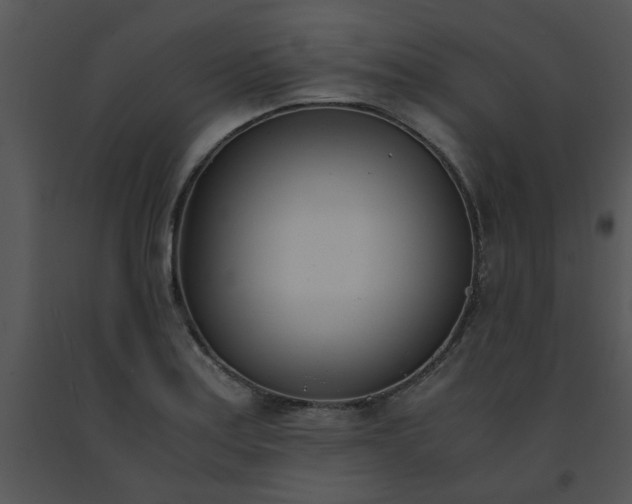 X0000091451179200708301804