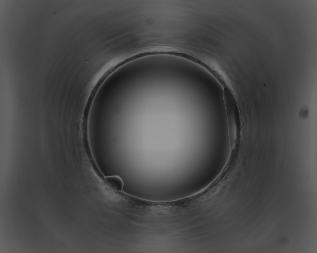 X0000091451181200708301804