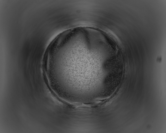 X0000091451182200708301804