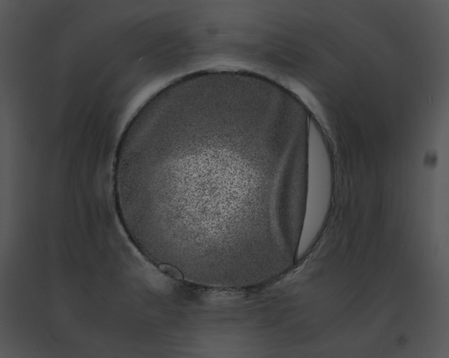 X0000091451183200708301804
