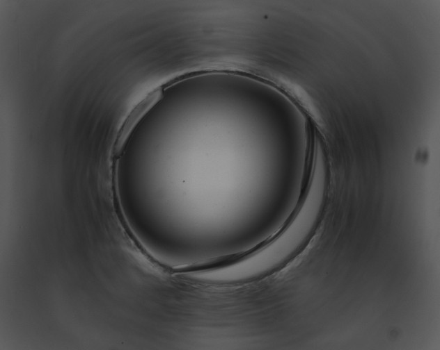 X0000091451184200708301804