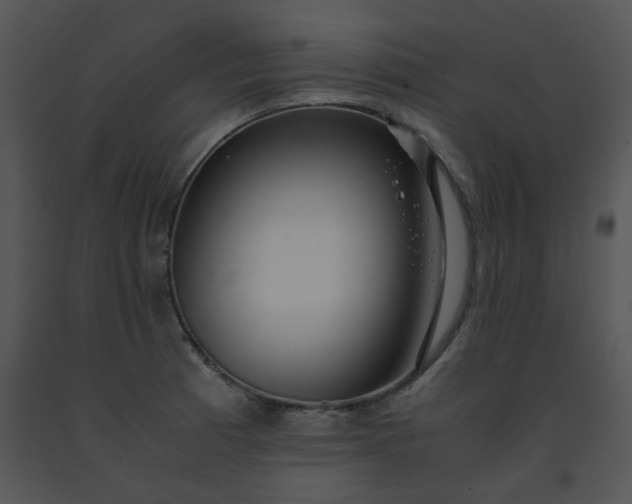 X0000091451185200708301804