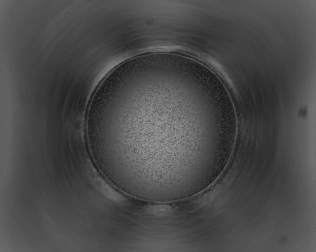 X0000091451186200708301804