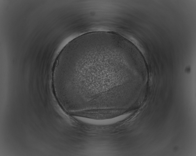 X0000091451187200708301804