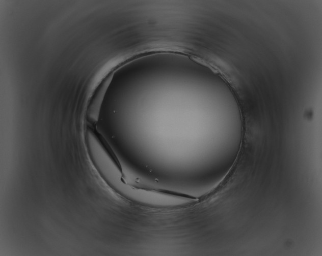 X0000091451188200708301804