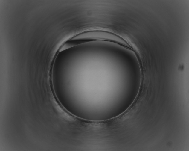 X0000091451189200708301804