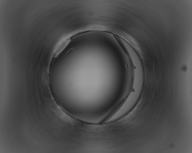 X0000091451192200708301803