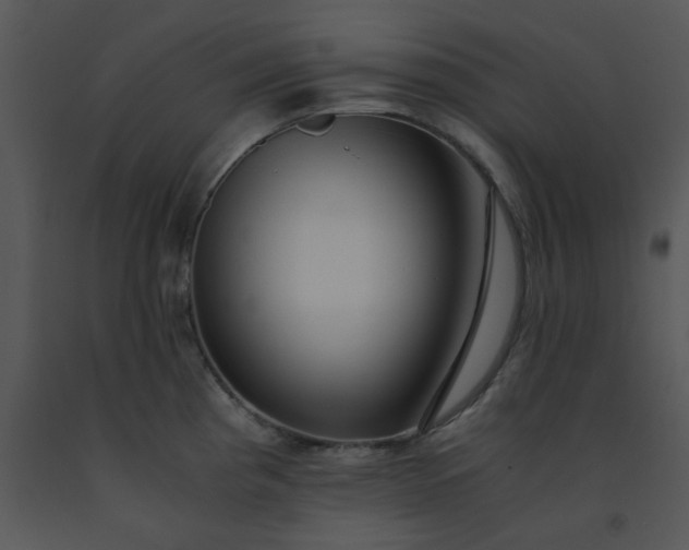 X0000091451193200708301803