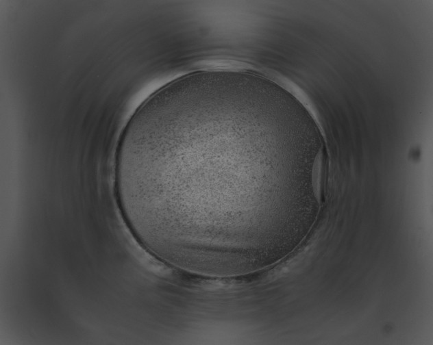 X0000091451195200708301803