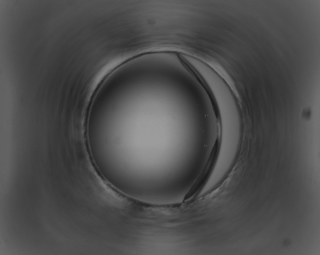 X0000091451197200708301803